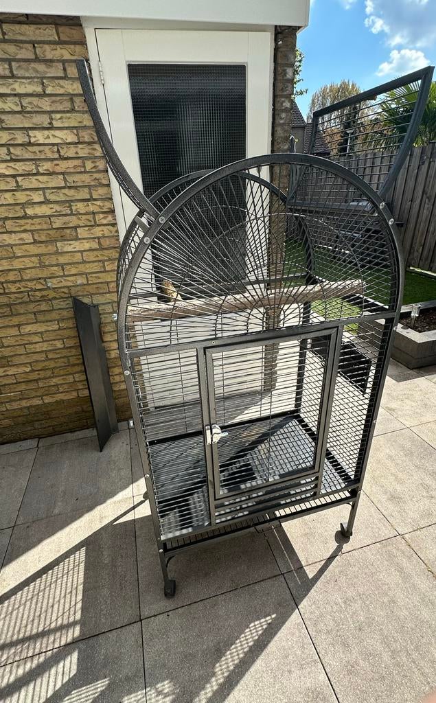 Papegaai/vogel kooi, Dieren en Toebehoren, Ophalen, Metaal, Vogelkooi
