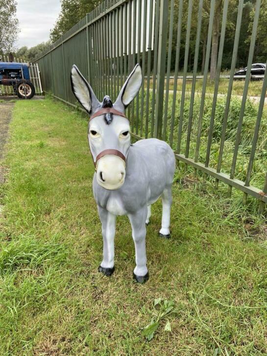 Polyester ezels / koeien / dieren te koop /, Ophalen, Handelsondernemingdeeekhoorn@hotmail.com, Nieuw, De Eekhoorn