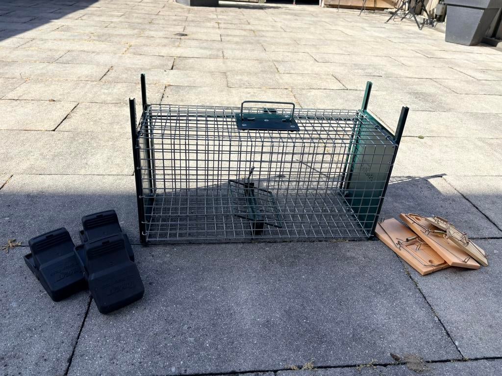 Ratten vangkooi 2 deurs, Ophalen, Zo goed als nieuw, Overige typen
