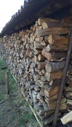 Haardhout, gekloofd en gedroogd, Tuin en Terras, Haardhout, 6 m³ of meer, Ophalen, Overige houtsoorten, Blokken