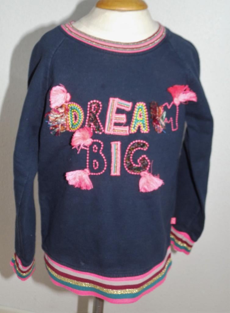 mooie Le Big trui maat 98 -104, Kinderen en Baby's, Kinderkleding | Maat 98, Meisje, Trui of Vest, Ophalen of Verzenden, Zo goed als nieuw