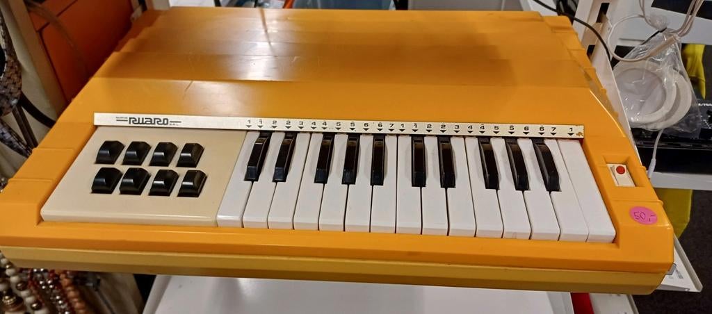 Luchtorgel Nuova Ruaro S. R. L, Ophalen, Gebruikt, 2 klavieren, Orgel