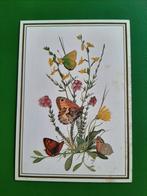 C/ Marius Kolvoort. Voor het kind, Verzenden, Gelopen