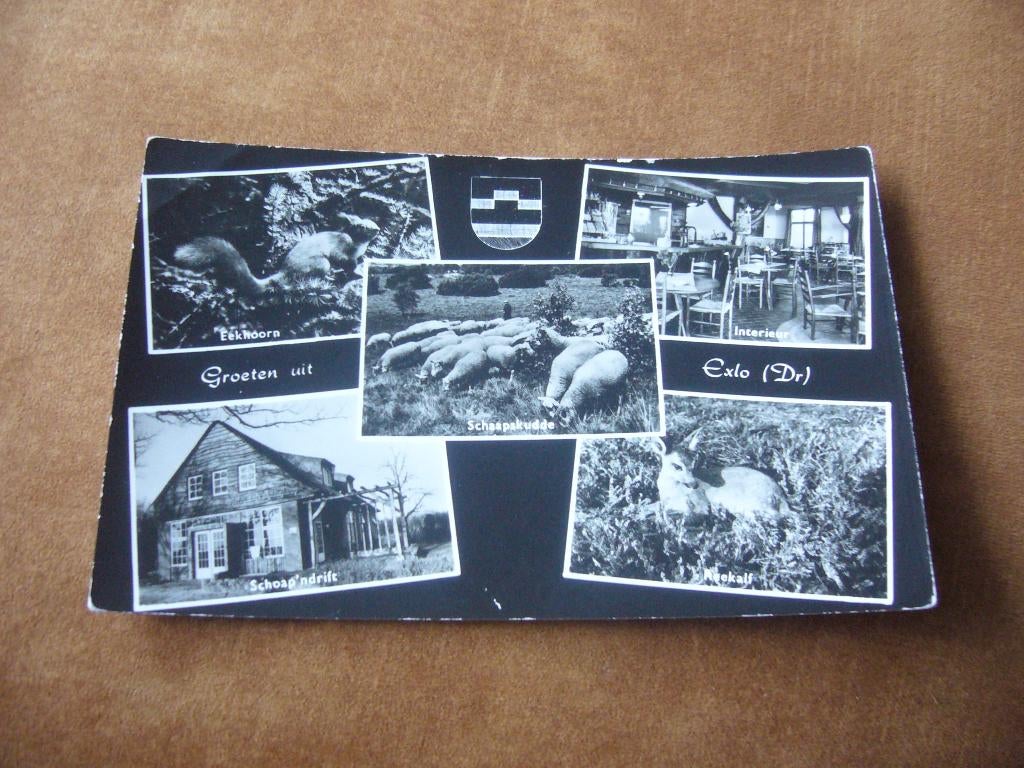 EXLO  =  5 LUIK, Ophalen of Verzenden, 1940 tot 1960, Ongelopen