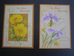 Vintage! Boterbloem, Iris; met tekst: Van Harte Beterschap, Ophalen of Verzenden, Nieuw