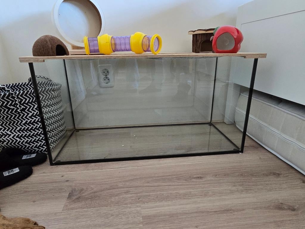 Mooie glazen Hamsterkooi, Dieren en Toebehoren, Kooi, Minder dan 75 cm, Zo goed als nieuw, Ophalen