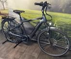 Pegasus Ravenna | Riem-aandrijving | Elektrische Herenfiets, Overige merken, PEGASUS Bikes, Longericher Straße 2, 50739 Köln, Ophalen of Verzenden