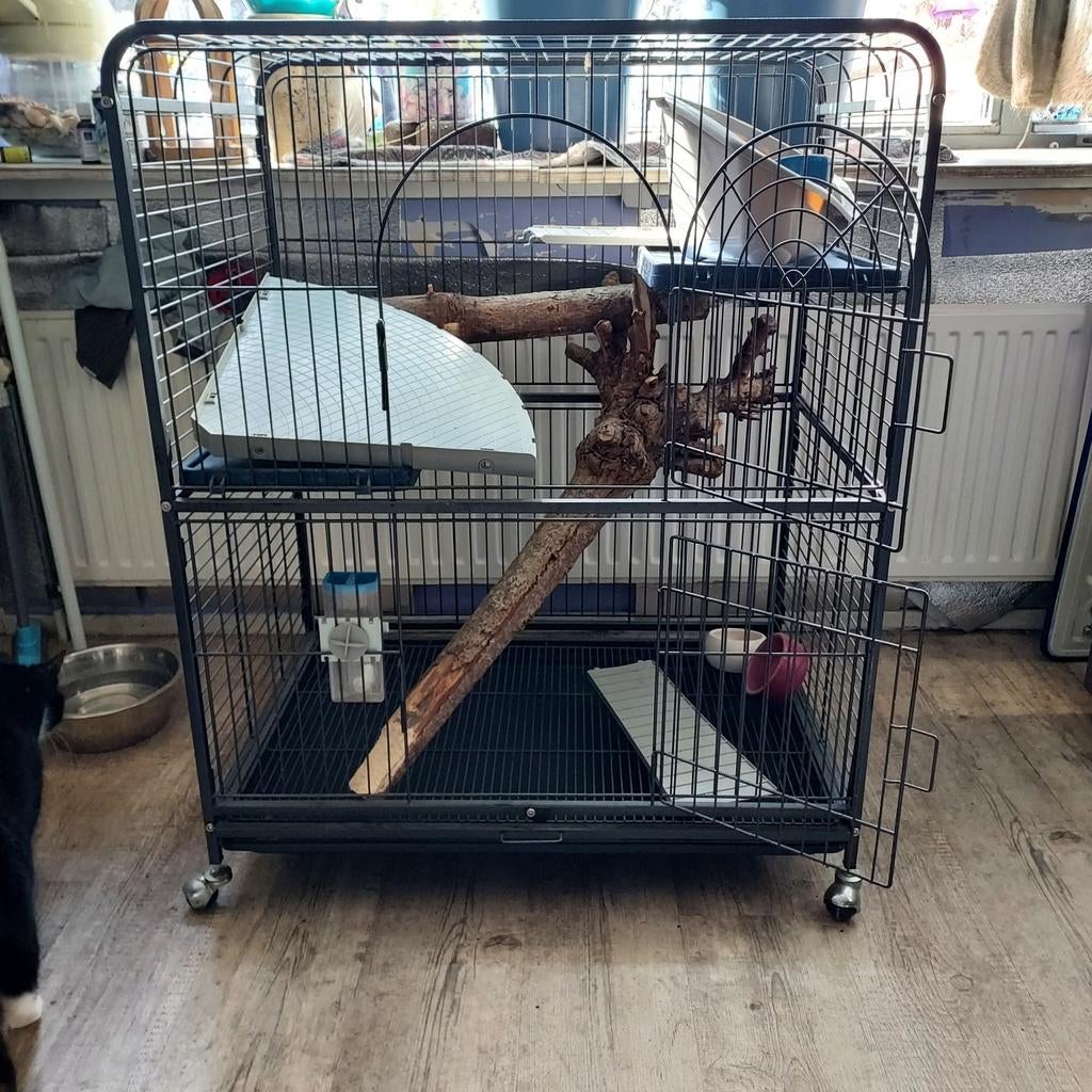 Knaagdieren kooi, Dieren en Toebehoren, Knaagdieren en Konijnen | Hokken en Kooien, Ophalen, Kooi, Gebruikt, 60 tot 90 cm
