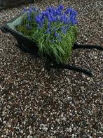 Tuindecoratie, Ophalen of Verzenden, Zo goed als nieuw