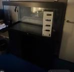 Juwel 350 met meubel superfish pomp, Dieren en Toebehoren, Vissen | Aquaria en Toebehoren, Ophalen of Verzenden, Zo goed als nieuw