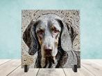 Weimaraner Mozaïek tegel incl houder, Ophalen of Verzenden, Nieuw
