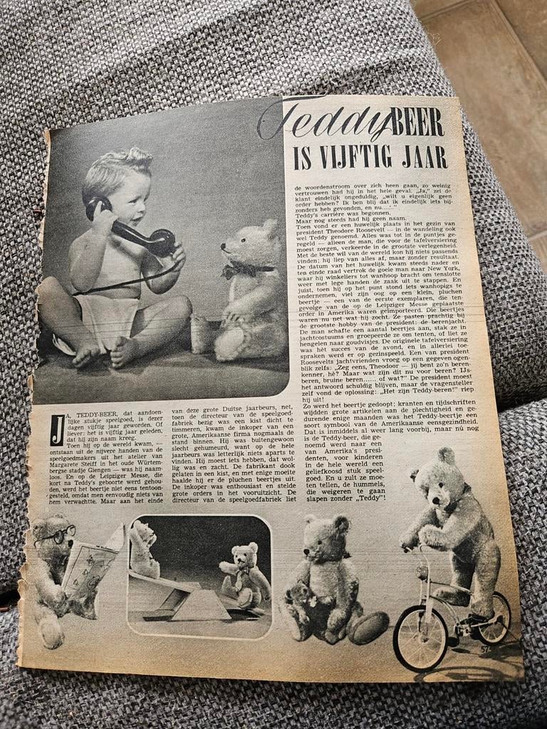 Teddybeer is vijftig jaar/ steiff reclame, Ophalen of Verzenden