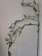 Kunst wilgentak  - wilg - tak - pasen - voorjaar, Huis en Inrichting, Ophalen of Verzenden, Nieuw, Binnen