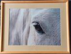 Paardenoog .. foto ... in Barth lijst van  40 x 50 cm..., Ophalen of Verzenden
