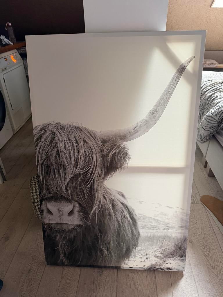 Schilderij Schotse hooglander, Ophalen