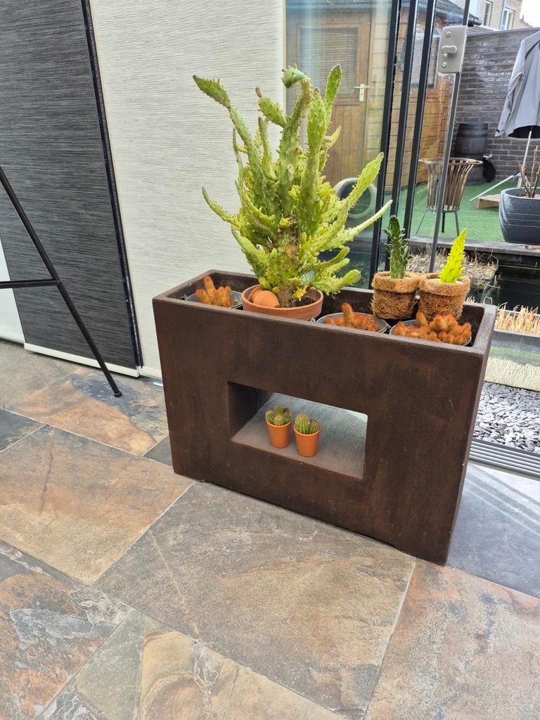 Grote bloembak Intratuin - Cortenstaal look, Tuin en Terras, Ophalen, Overige materialen, Gebruikt, 60 tot 100 cm