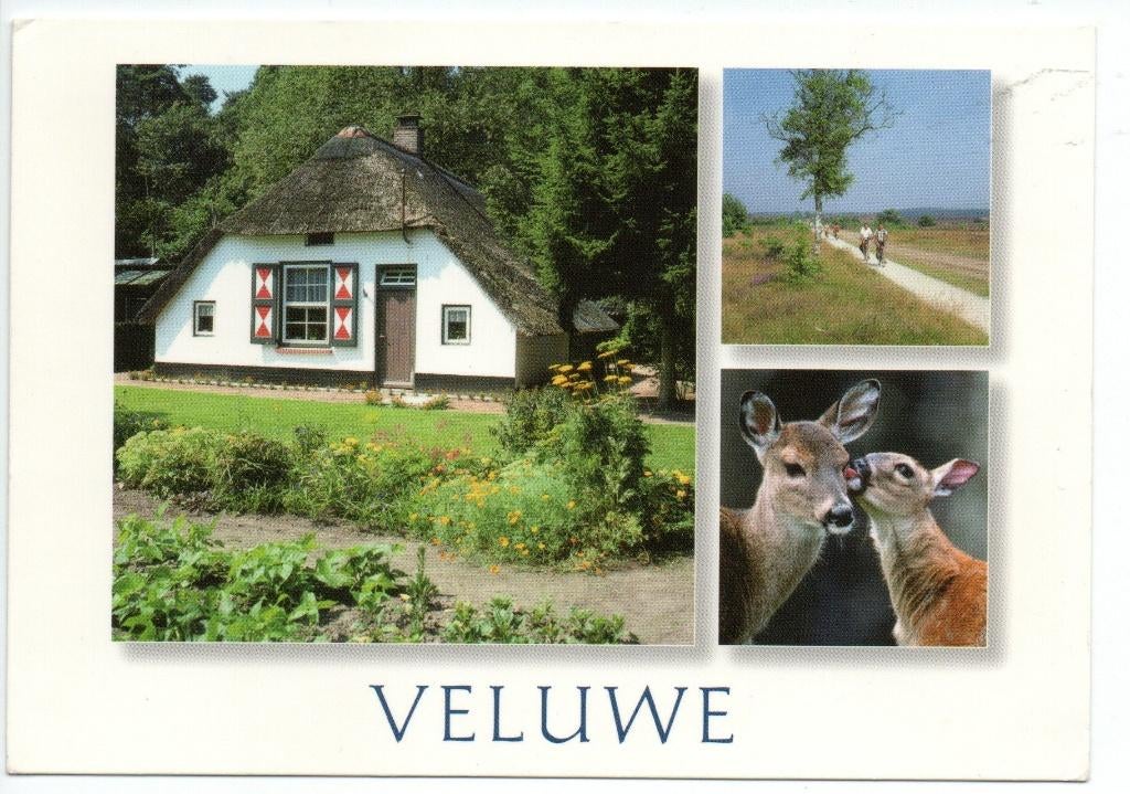 Veluwe.  3 luik.  **, Verzenden, 1960 tot 1980, Ongelopen, Gelderland