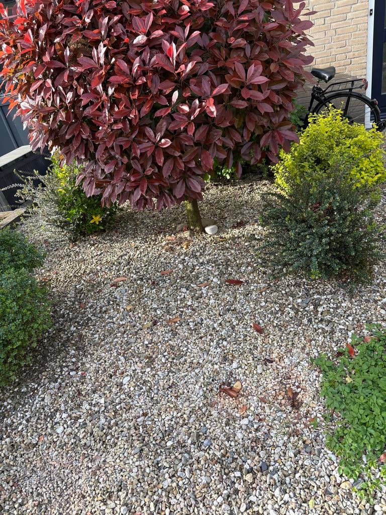 Gratis kiezelstenen uit voortuin, Tuin en Terras, Ophalen, Gebruikt, Multi, Grind