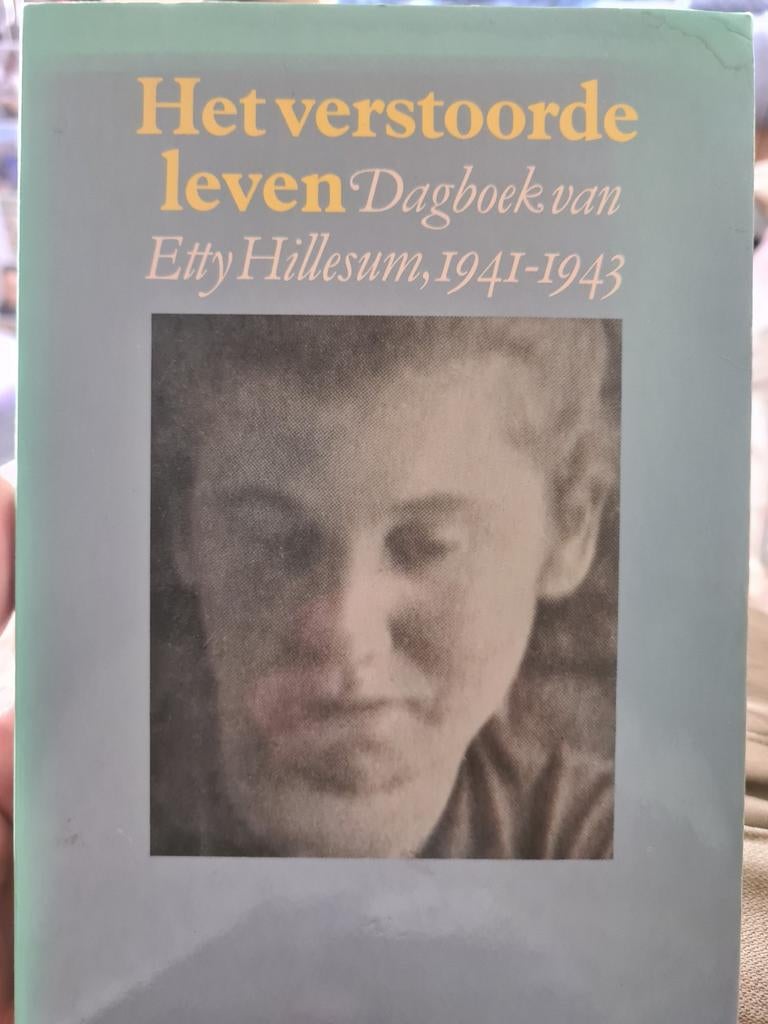 Het Verstoorde Leven van Etty Hillesum, Boeken, Ophalen of Verzenden, Zo goed als nieuw