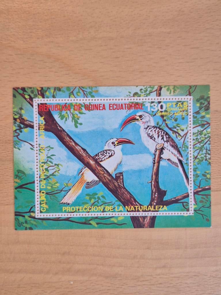Equatoriaal Guinea 1976 vogels, Ophalen of Verzenden, Postfris, Dier of Natuur