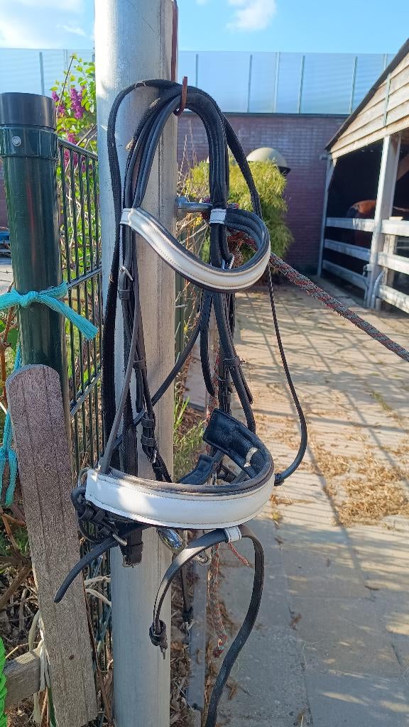 Hoofdstel, neusriem, halsters, Ophalen of Verzenden, Zo goed als nieuw, Dressuur