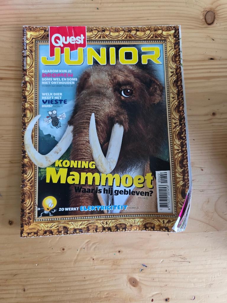 Quest junior, Boeken, Ophalen of Verzenden, Zo goed als nieuw, Wetenschap en Natuur