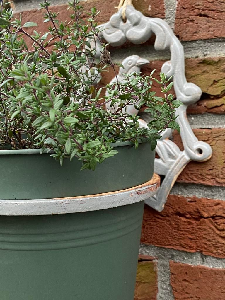 Brocante Franse gietijzeren muur bloempothouder, Antiek en Kunst, Ophalen