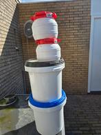 Tekoop, Dieren en Toebehoren, Meerdere dieren, Parkiet