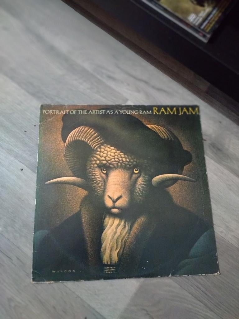 RAMJAM, Ophalen of Verzenden, Zo goed als nieuw, Overige onderwerpen