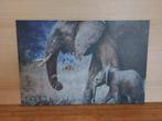 Schilderij van olifant op canvas doek, Huis en Inrichting, Woonaccessoires | Schilderijen, Tekeningen en Foto's, Ophalen, Nieuw