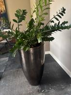 Prachtige grote pot vaas kruik van ptmd, Ophalen, Zo goed als nieuw, Overige kleuren, Minder dan 50 cm