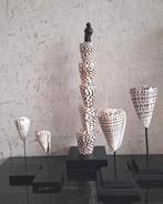 Diverse conus bruin witte schelpen op voet japandi, Verzamelen, Ophalen, Schelp(en)