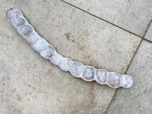 Gedroogde peul met zaden er nog in, lengte 75cm, Huis en Inrichting, Woonaccessoires | Droogbloemen, Zo goed als nieuw, Ophalen of Verzenden