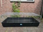 Groot konijnenhok/kuikenhok, Dieren en Toebehoren, Knaagdieren en Konijnen | Hokken en Kooien, Ophalen, 110 cm of meer, Hok, Minder dan 60 cm