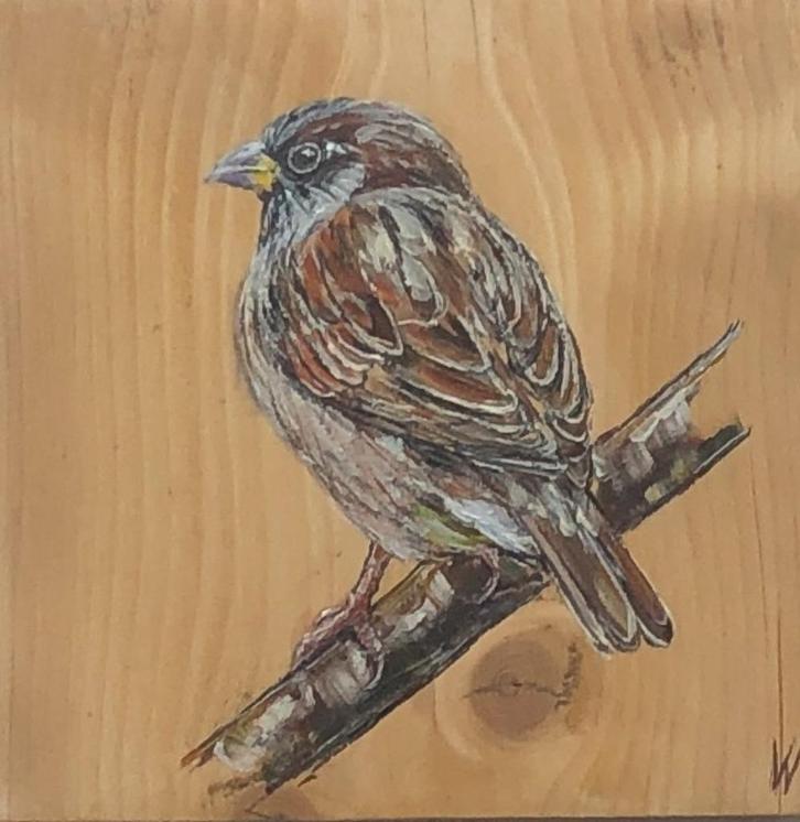 Schilderij Mus op gebruikt hout, Antiek en Kunst, Kunst | Schilderijen | Modern, Verzenden