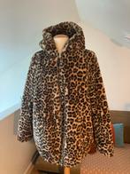 Zwangerschapsjas met panterprint, maat 40, Kleding | Dames, Positiekleding, Ophalen of Verzenden, Zo goed als nieuw, Maat 38/40 (M)