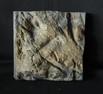 Achterwand voor aquarium, Ophalen of Verzenden, Gebruikt, Overige typen