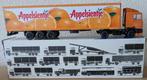 Lion Car DAF /  FT95.400 ATI  / Riedel Ede, Hobby en Vrije tijd, Modelauto's | 1:50, Ophalen of Verzenden, Zo goed als nieuw, Bus of Vrachtwagen