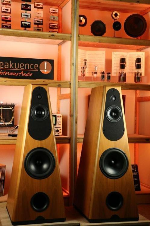 Respons Audio Magna Musicum TRADE.INRUIL. High end Freaktip!, Audio, Tv en Foto, Luidsprekers, Zo goed als nieuw, Front, Rear of Stereo speakers