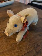 Steiff varkentje8, Ophalen of Verzenden