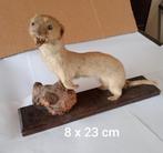Taxidermie; wezel, Ophalen of Verzenden, Gebruikt, Wild dier, Opgezet dier