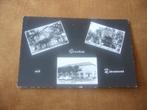 ZIEUWENT  >  3 LUIK VAN HOTEL - CAFE T, WITTE PAARD, Verzenden, 1940 tot 1960, Gelopen, Drenthe