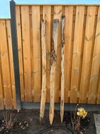 Kastanje palen, Ophalen of Verzenden, Gebruikt, Hout, Tuinhek