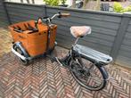 Bakfiets babboe curve, Fietsen en Brommers, Fietsen | Bakfietsen, Overige merken, 4 kinderen of meer, Ophalen of Verzenden, Nieuw