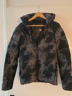 SUPERDRY winter sport jas maat XS, Ophalen of Verzenden, Zo goed als nieuw