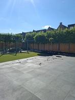 Tuinwerk en Bestrating Alles Voor Jouw Tuin! (Hovenier), Diensten en Vakmensen, Tuinmannen en Stratenmakers, Garantie, Tuinontwerp