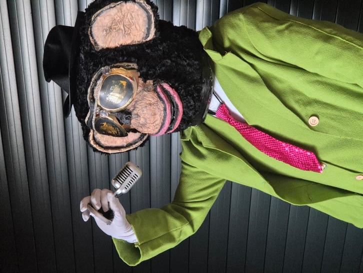 Masked Singers Kostuums + Complete toebehoren, Hobby en Vrije tijd, Kostuums, Theaterbenodigdheden en LARP, Ophalen