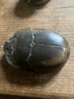 Scarabee, Ophalen of Verzenden