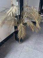 Kunst gouden palm plant Woood, Ophalen, Zo goed als nieuw
