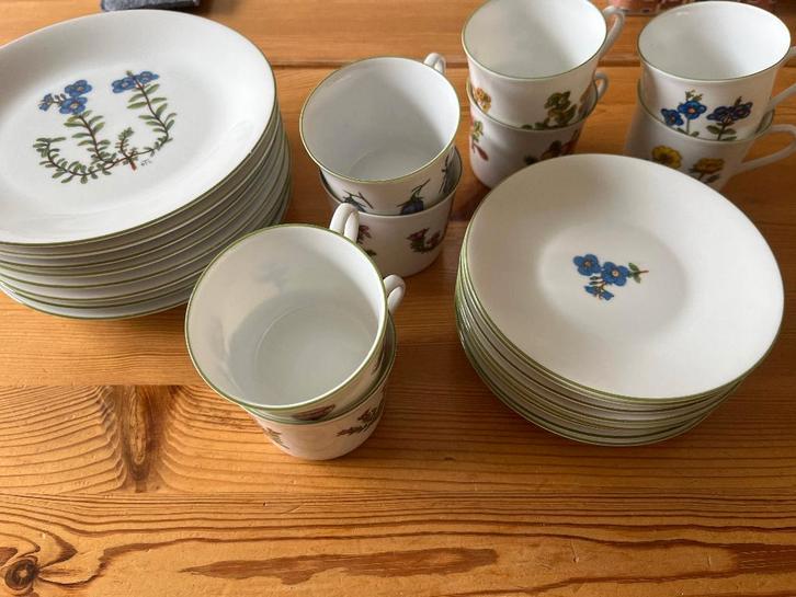 Porsgrund Porselaensfabrik Fjellflora koffiekop taartschotel, Antiek en Kunst, Antiek | Servies los, Ophalen